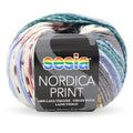 Sesia Nordica DK Print Yarn 8ply#Colour_LIQUORICE ALLSORTS (3049)