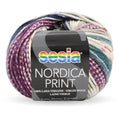 Sesia Nordica DK Print Yarn 8ply#Colour_STORMY SKIES (320)