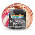 Sesia Nordica DK Print Yarn 8ply#Colour_BOLD NATURE (4355)