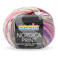 Sesia Nordica DK Print Yarn 8ply#Colour_PARTY MIX (6217)