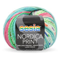 Sesia Nordica DK Print Yarn 8ply#Colour_KALEIDOSCOPE (6711)